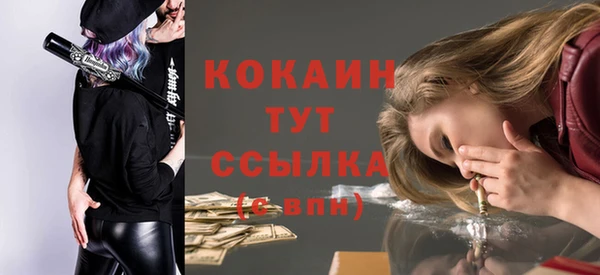 дмт Зеленодольск
