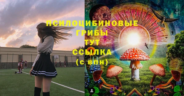 твердый Зерноград