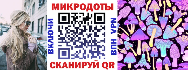 Галлюциногенные грибы Psilocybine cubensis  Шилка 